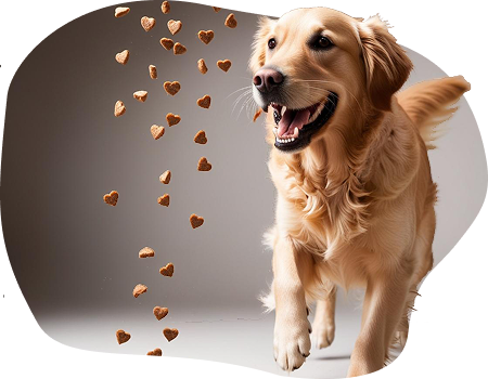 A dog with its food bowl