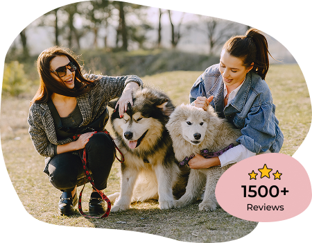 Two women happily hugging their large dogs outdoors